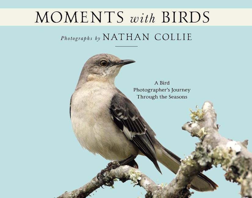 Kniha Moments with Birds: A Bird Photographer's Journey Through the Seasons 