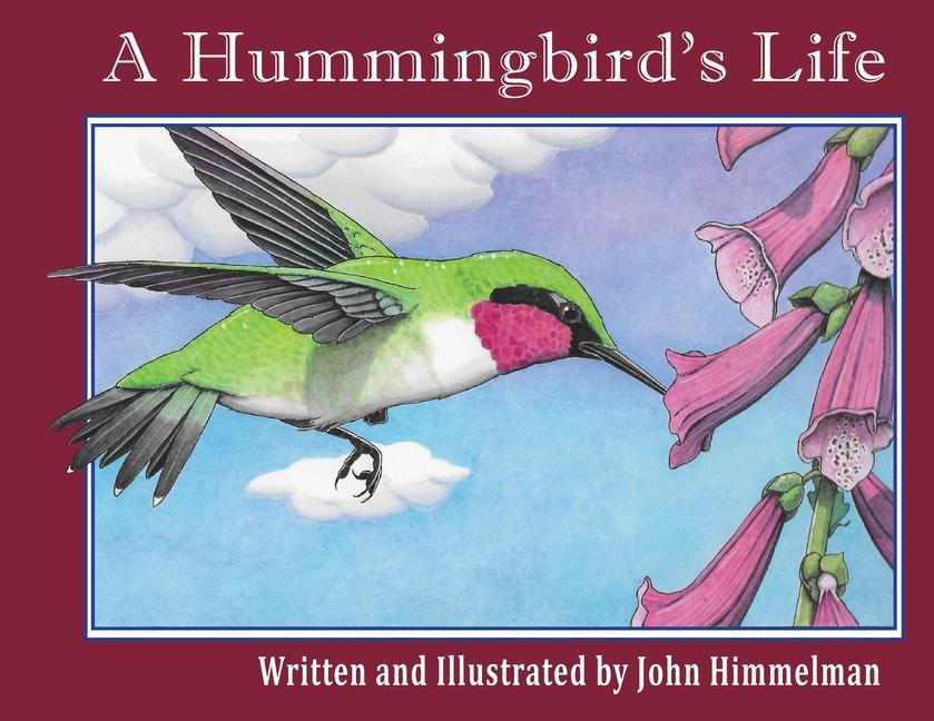 Book Hummingbird's Life John Himmelman