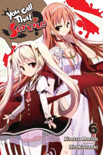 Könyv You Call That Service?, Vol. 6 (light novel) 