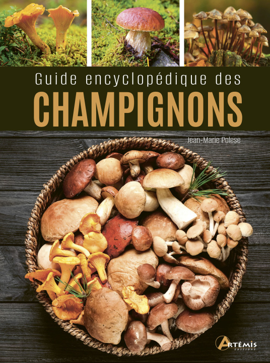 Carte Guide encyclopédique des champignons POLESE