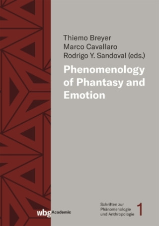 Kniha Phenomenology of Phantasy and Emotions Marco Cavallaro
