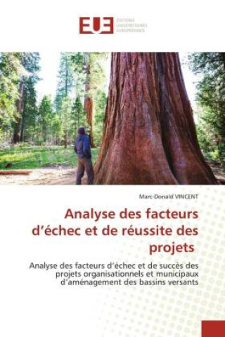 Kniha Analyse des facteurs d?échec et de réussite des projets 