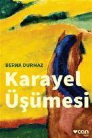 Boek Karayel Üsmesi 