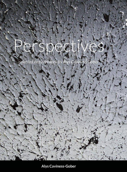 Knjiga Perspectives Alys Caviness-Gober
