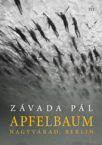 Книга Apfelbaum Závada Pál
