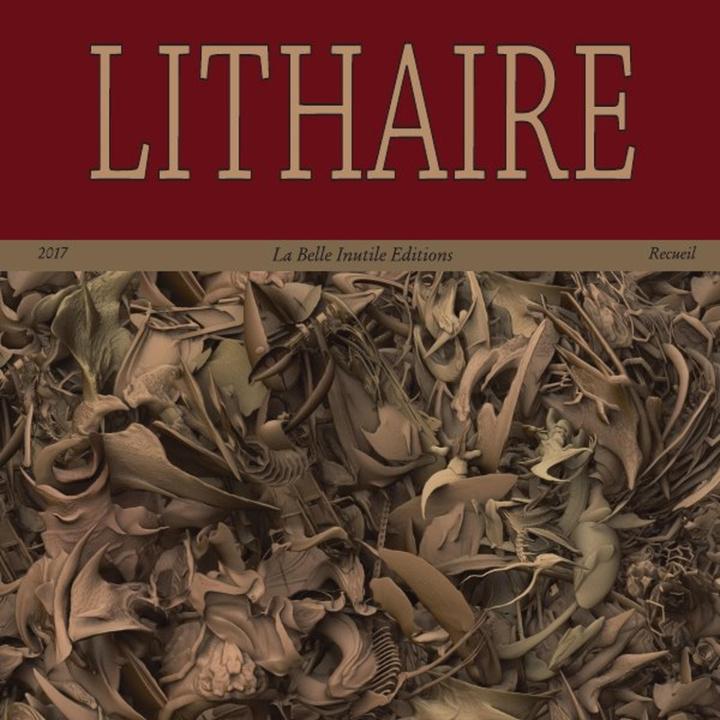 Buch Lithaire 2 Pierre Petiot