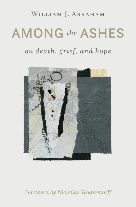 Knjiga Among the Ashes William J. Abraham