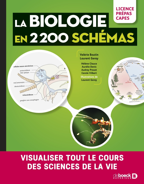 Kniha Biologie en 2200 schémas Boutin