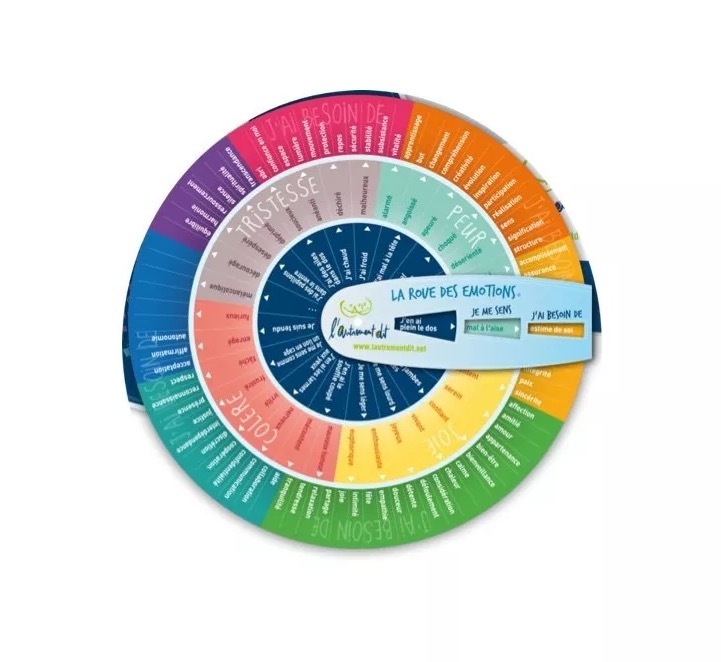 Carte ROUE DES ÉMOTIONS - VERSION POCHE THIRY