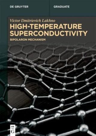 Knjiga High-Temperature Superconductivity Victor Dmitrievich Lakhno