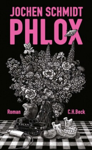 Buch Phlox Line Hoven