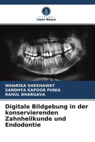 Boek Digitale Bildgebung in der konservierenden Zahnheilkunde und Endodontie Sandhya Kapoor Punia