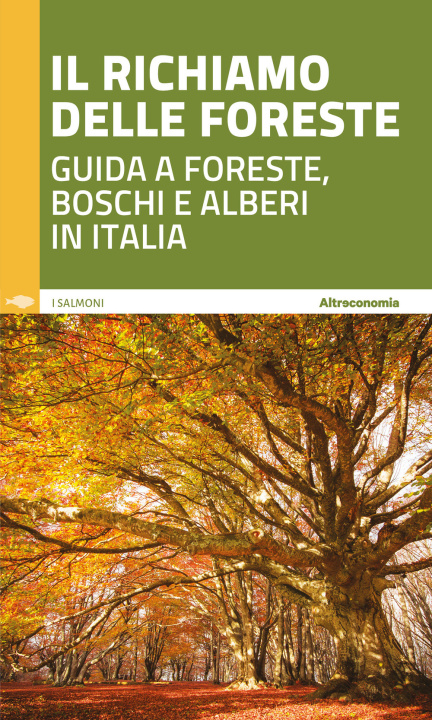 Kniha richiamo delle foreste. Guida a foreste, boschi e alberi in Italia 