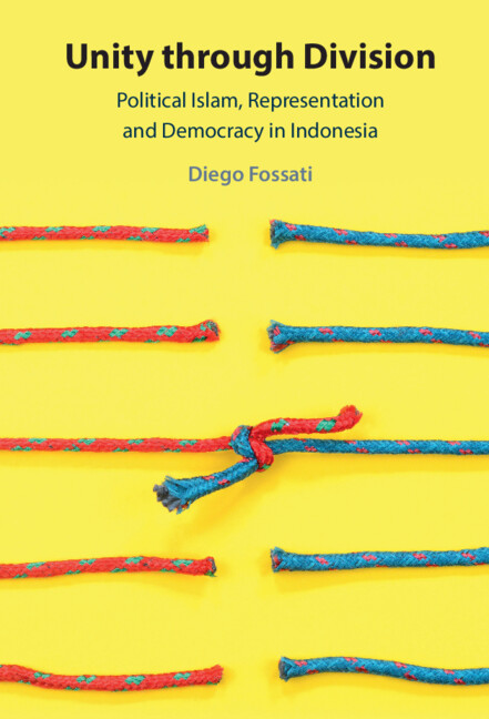 Knjiga Unity through Division Diego Fossati