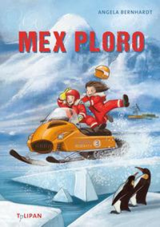 Buch Mex Ploro Stephan Pricken