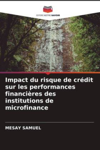 Boek Impact du risque de crédit sur les performances financi?res des institutions de microfinance Mesay Samuel