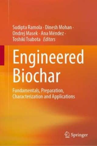 Kniha Engineered Biochar Sudipta Ramola