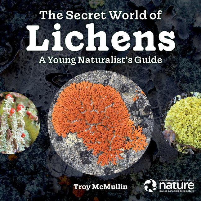 Kniha Secret World of Lichens 