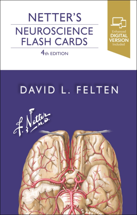 Tlačovina Netter's Neuroscience Flash Cards 