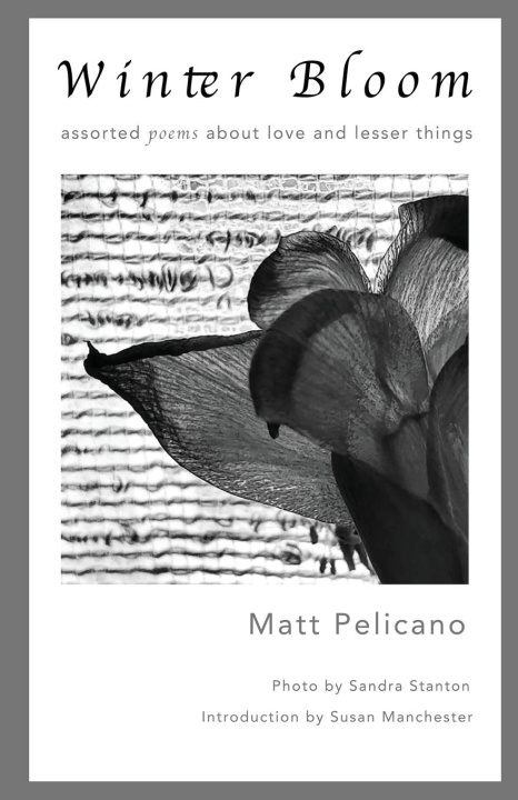 Knjiga Winter Bloom Matt Pelicano