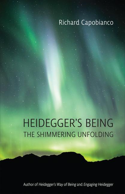 Knjiga Heidegger's Being 