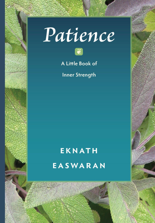 Kniha Patience 