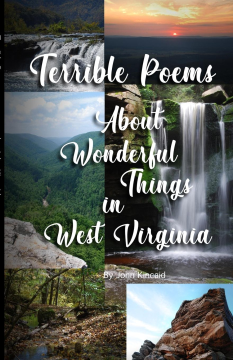 Knjiga Terrible Poems About Wonderful Things in West Virginia John Kincaid