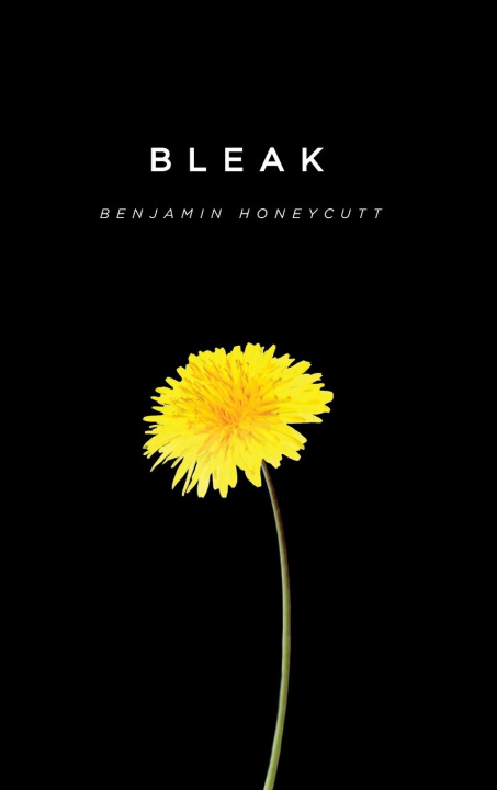 Knjiga Bleak Pearl Sonnenschein