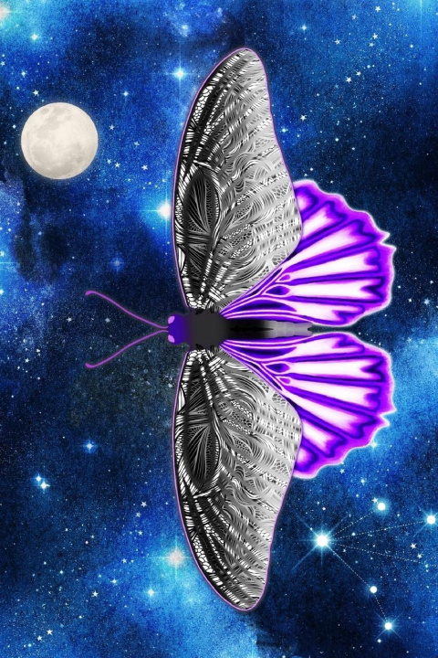 Könyv Asexual Space Butterfly Lined Notebook 