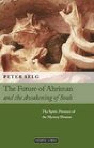 Kniha Future of Ahriman and the Awakening of Souls Paul King
