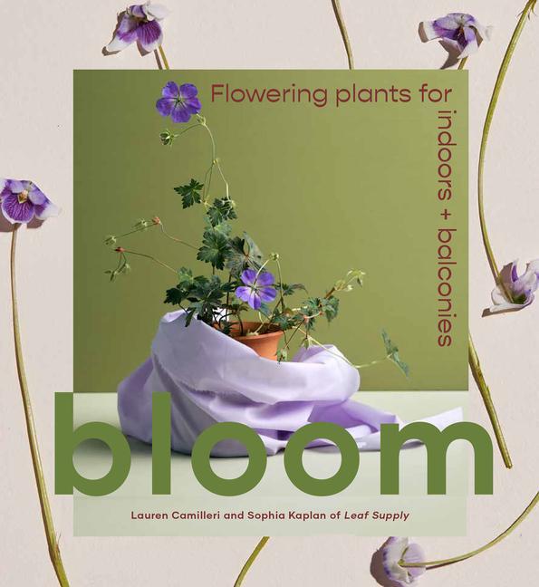 Kniha Bloom Sophia Kaplan