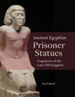 Könyv Ancient Egyptian Prisoner Statues 
