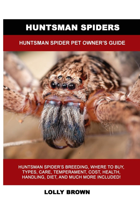 Книга Huntsman Spiders 