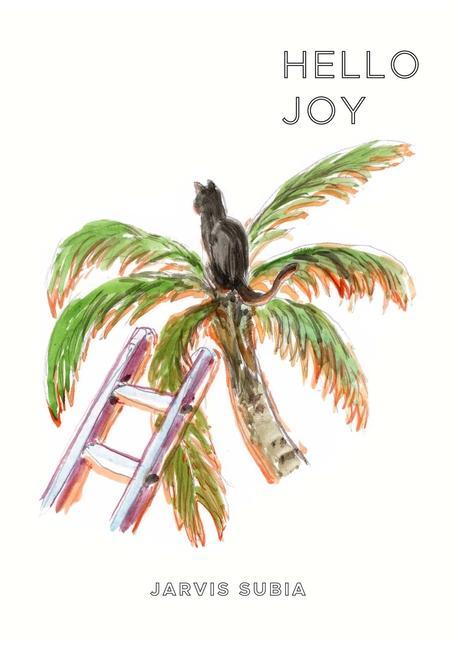 Knjiga Hello Joy Black Lawrence Press
