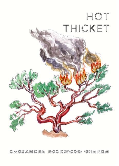 Book Hot Thicket Ghanem