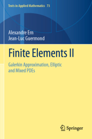 Libro Finite Elements II Alexandre Ern