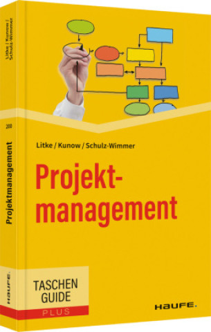 Kniha Projektmanagement Hans-D. Litke