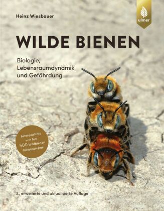Könyv Wilde Bienen 