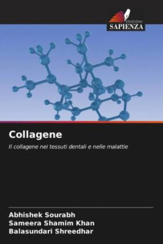 Buch Collagene Sameera Shamim Khan