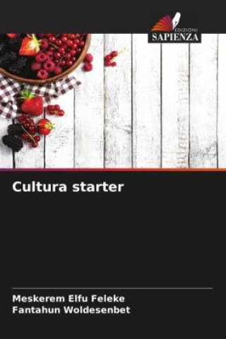 Książka Cultura starter Fantahun Woldesenbet