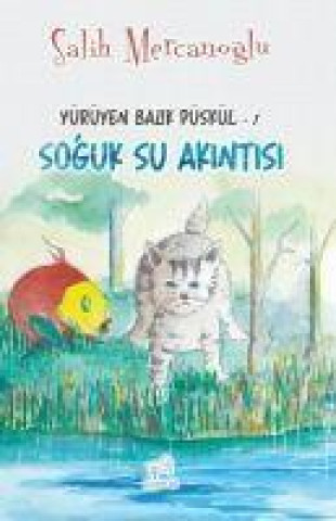 Boek Soguk Su Akintisi 