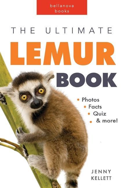 Książka Lemurs 