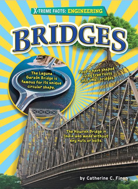 Knjiga Bridges 