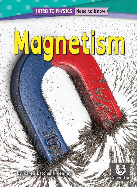 Livre Magnetism 