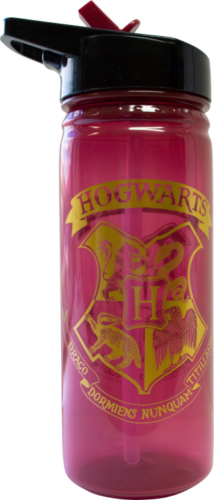 Joc / Jucărie Bidon Harry Potter PP 600ml HP91553 