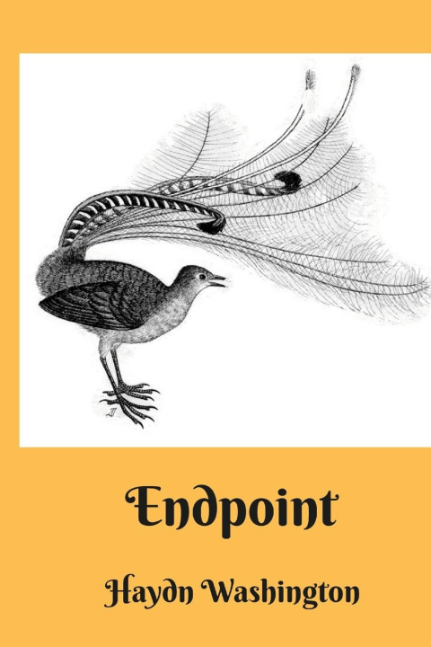 Book Endpoint Haydn Washington