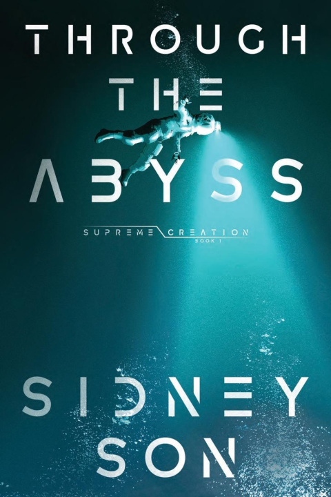 Knjiga Through the Abyss 