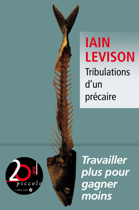 Book Tribulations d’un précaire Levison