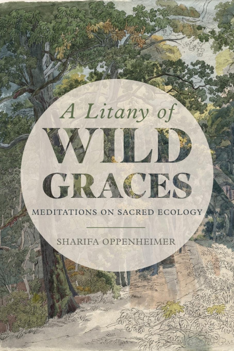 Kniha Litany of Wild Graces 