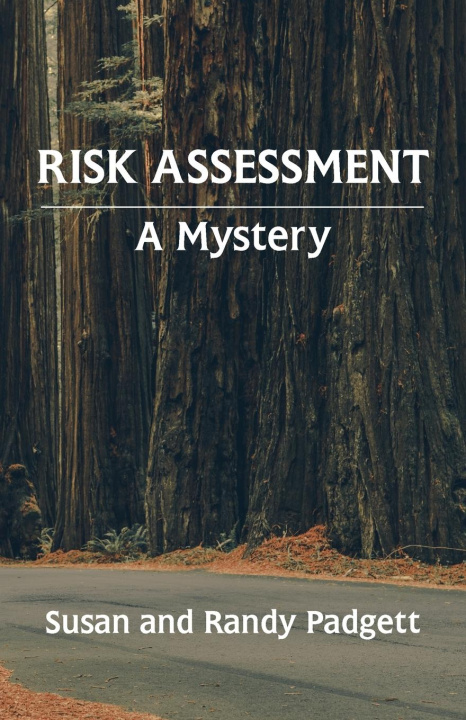 Knjiga Risk Assessment Randy Padgett